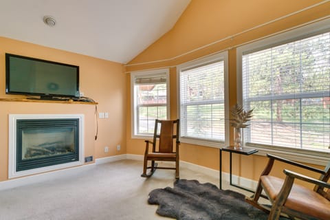 TV, fireplace, books