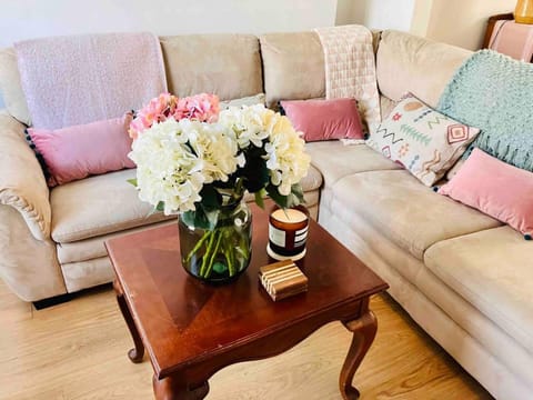 House | Living area | TV