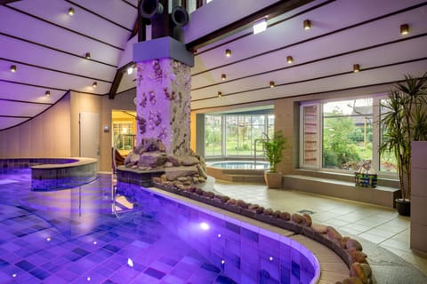 Indoor pool, sun loungers