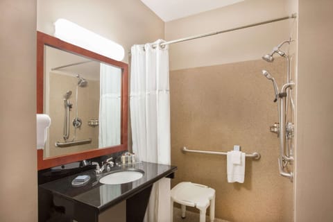 Business Room, 1 King Bed, Accessible, Non Smoking (Mobility, Roll-In Shower) | Bathroom | Free toiletries, hair dryer, towels, soap