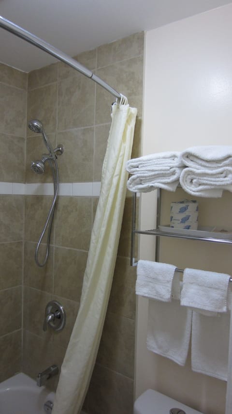 Combined shower/tub, free toiletries, hair dryer, towels