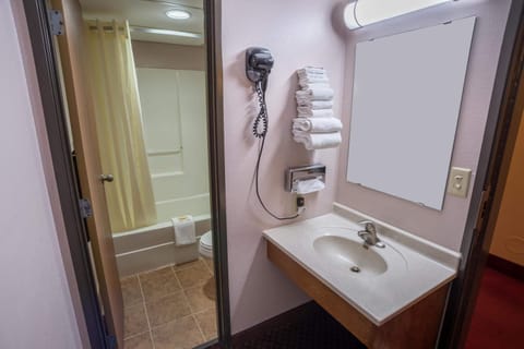 Combined shower/tub, hair dryer