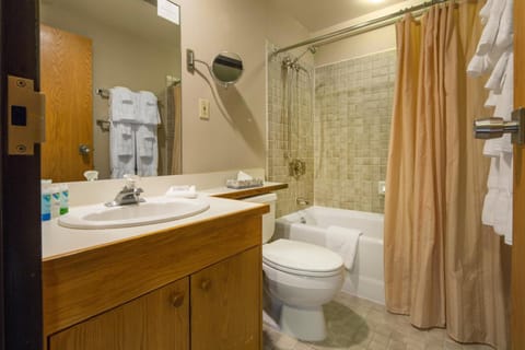 Combined shower/tub, free toiletries, hair dryer, towels