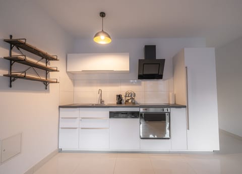 Deluxe Apartment | Private kitchen | Full-size fridge, oven, stovetop, toaster