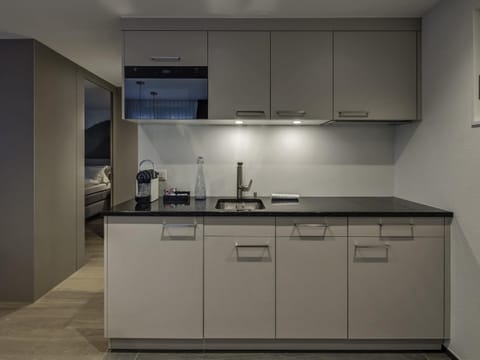 Family apartment with A/C, 1 large bed, livingarea with kitchen | Hypo-allergenic bedding, down comforters, in-room safe, desk