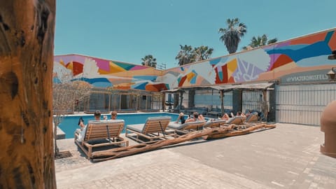 Outdoor pool, sun loungers