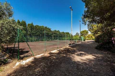 Tennis court