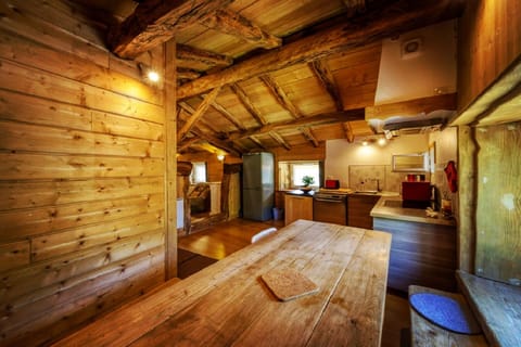 Family Cottage, 2 Bedrooms, Mountain View, Mountainside | Private kitchen | Full-size fridge, microwave, oven, stovetop