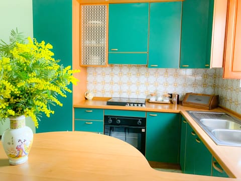 Comfort Apartment | Private kitchen | Full-size fridge, oven, stovetop, cookware/dishes/utensils