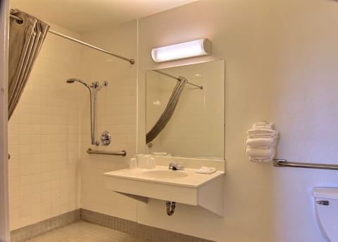 Standard Room, 1 Double Bed, Accessible, Non Smoking | Accessible bathroom