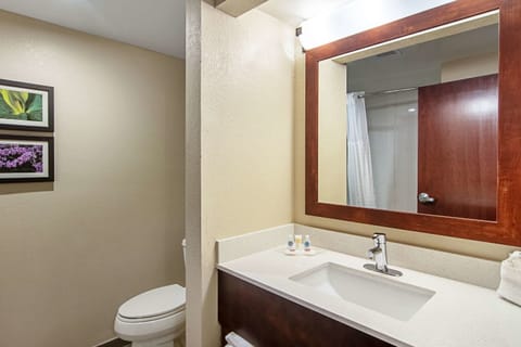 Suite, Multiple Beds, Non Smoking | Bathroom | Free toiletries, hair dryer, towels, soap