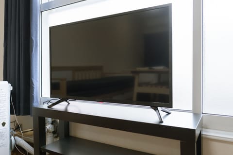 Flat-screen TV