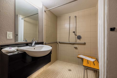 Standard Room, 1 Queen Bed, Accessible, Non Smoking | Accessible bathroom