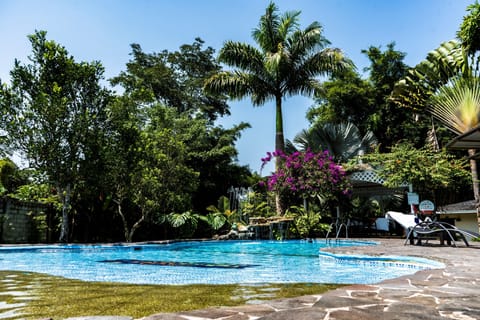 Outdoor pool, sun loungers