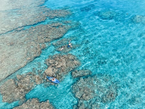 Kayaking