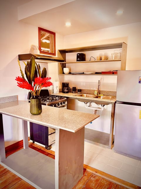 Deluxe Apartment | Private kitchen | Fridge, microwave, oven, toaster