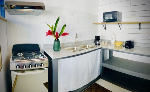 Classic Apartment | Private kitchen | Fridge, microwave, oven, toaster