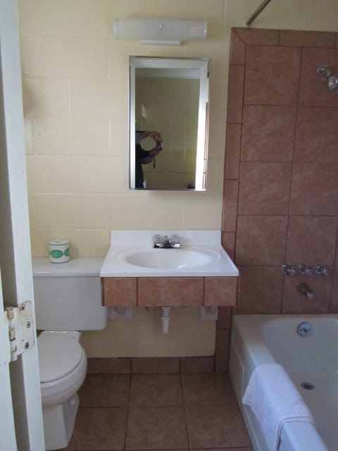 Combined shower/tub, free toiletries, hair dryer, towels