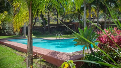 Outdoor pool, pool umbrellas, sun loungers