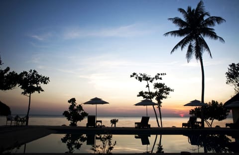 Outdoor pool, sun loungers