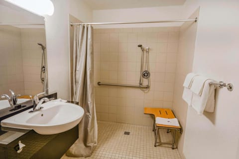 Standard Room, 1 Queen Bed, Accessible, Non Smoking | Accessible bathroom