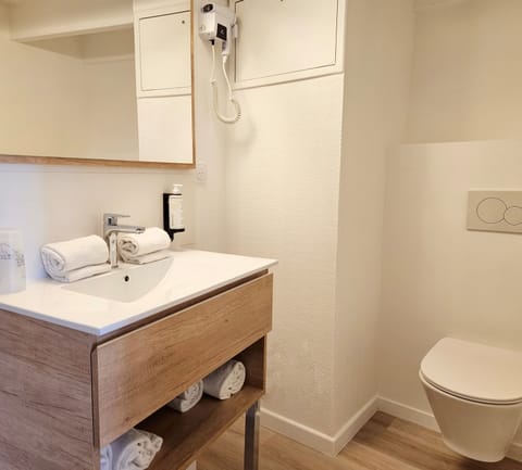 Triple Room | Bathroom | Shower, hair dryer, towels, soap