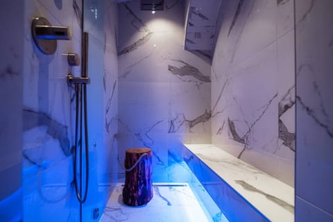 Superior Suite | Bathroom | Shower, rainfall showerhead, free toiletries, hair dryer