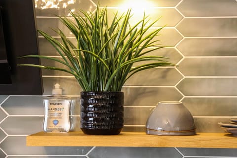 Apartment | 1 bedroom, Internet