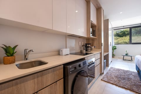 Classic Studio | Private kitchen | Fridge, microwave, oven, stovetop