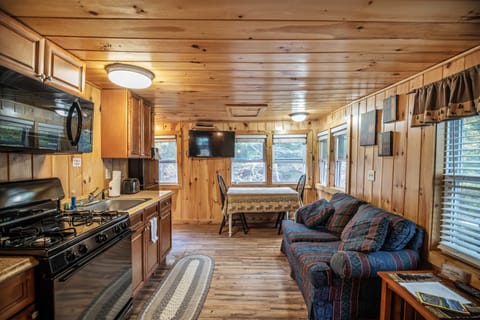 Cabin, 1 Queen Bed, River View | Living area