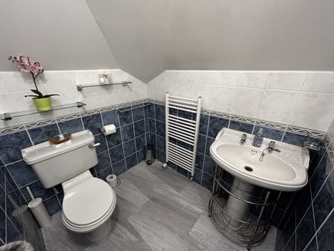 Twin Room | Bathroom | Shower, free toiletries, hair dryer, towels