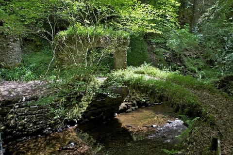 Chalet | Property grounds