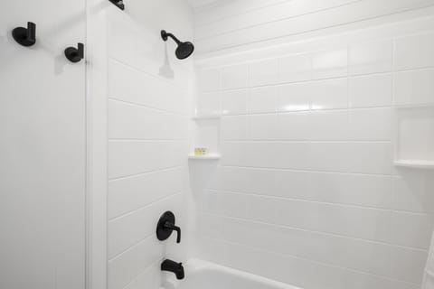 Combined shower/tub, hair dryer, towels, soap