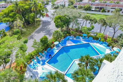 Outdoor pool, pool umbrellas, sun loungers