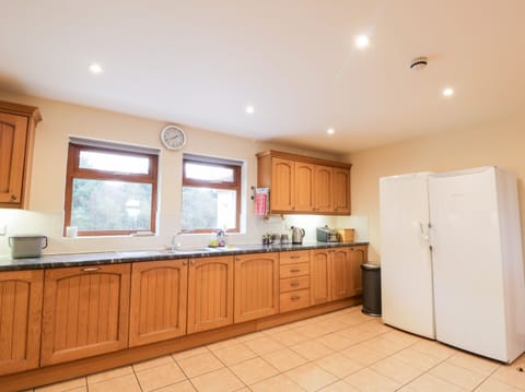 Fridge, dishwasher, electric kettle, toaster