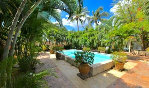 Outdoor pool, pool umbrellas, sun loungers