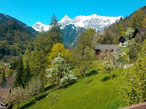 Romantisches Chalet in den Bergen Vacation rental in Vorarlberg, Austria