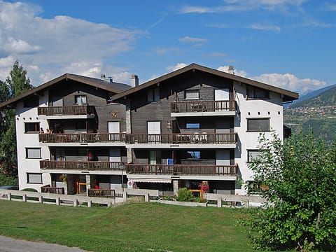 Anemone 9 Apartment in Nendaz