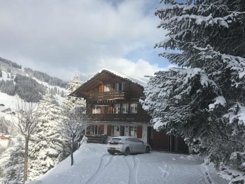 Ferienwohnung Lankreijer Apartment in Adelboden