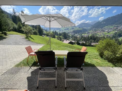 Ferienwohnung Lankreijer Apartment in Adelboden