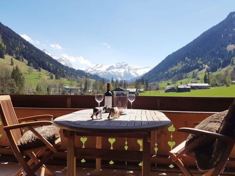 Farfalla Apartment in Saanen