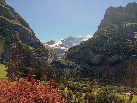 Chalet Bärgsunna Vacation rental in Grindelwald