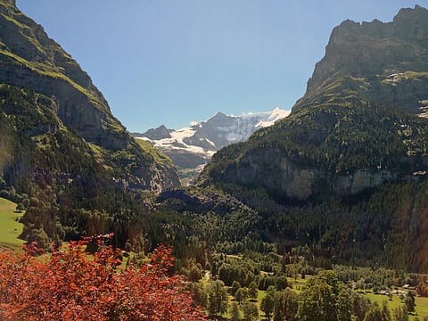 Chalet Bärgsunna Apartment in Grindelwald