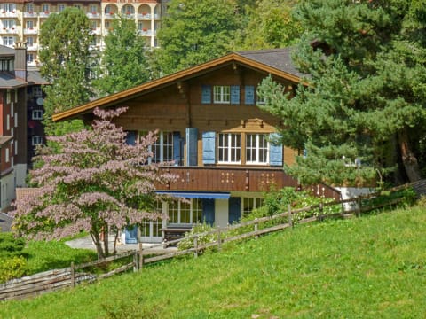 Arche Chalet in Lauterbrunnen