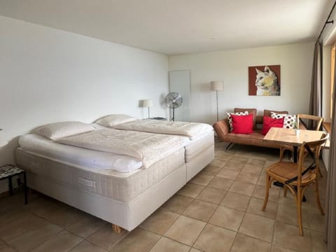 Casa Elisabetta Apartment in Locarno