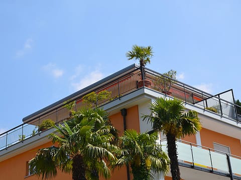 Corallo (Utoring) Apartment in Ascona