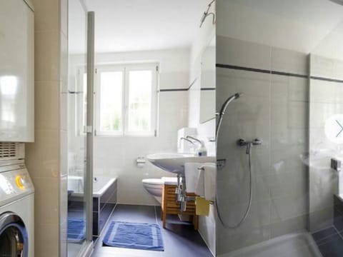 Villa Cresta Bianca Vacation rental in Ascona