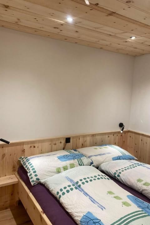 Epomeo Apartment in Samedan