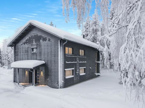 Levin hiihtäjä House in Lapland