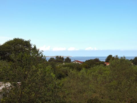 Apartment 1665 Apartment in Fažana